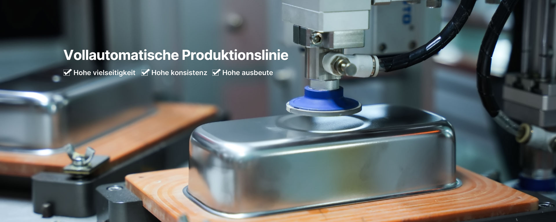 skymen-vollautomatische-ultraschallreiniger-produktionslinie