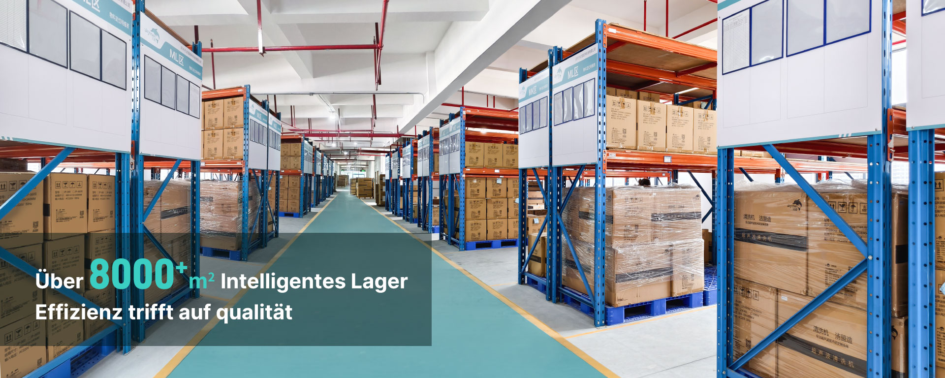 skymen-intelligentes-lager-ultraschallreiniger